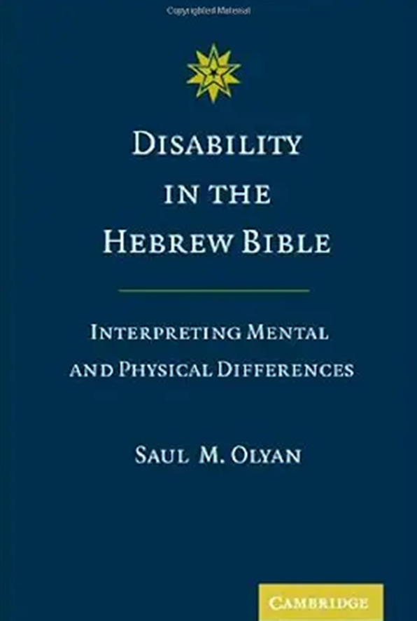Disability in the Hebrew Bible: Interpreting Mental and Physical Differences